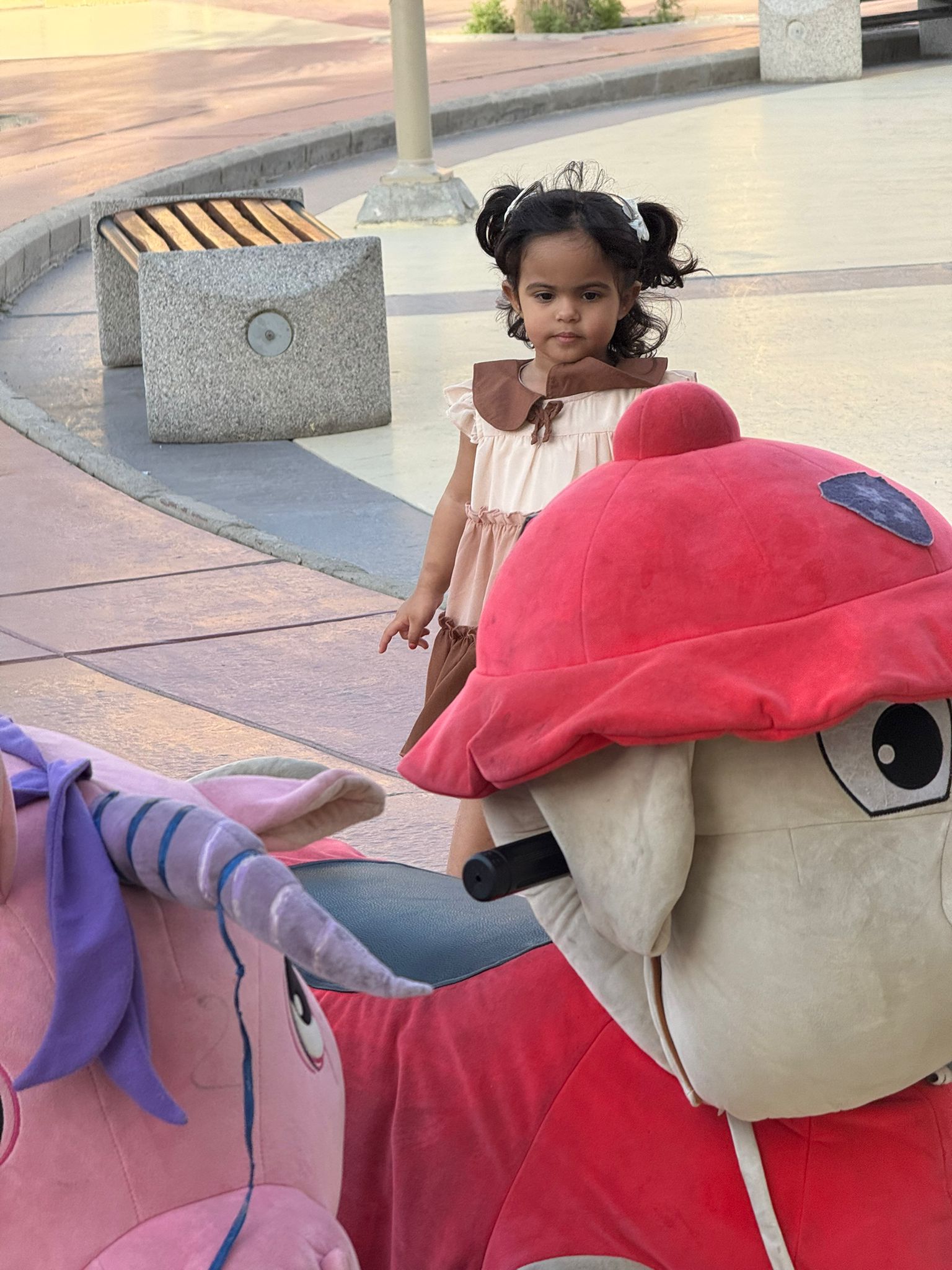 تصوير حضانة - eassa